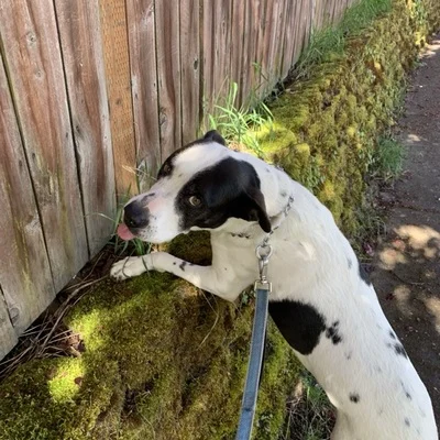 Pete's Mom 🍉 🇺🇦 ☮️